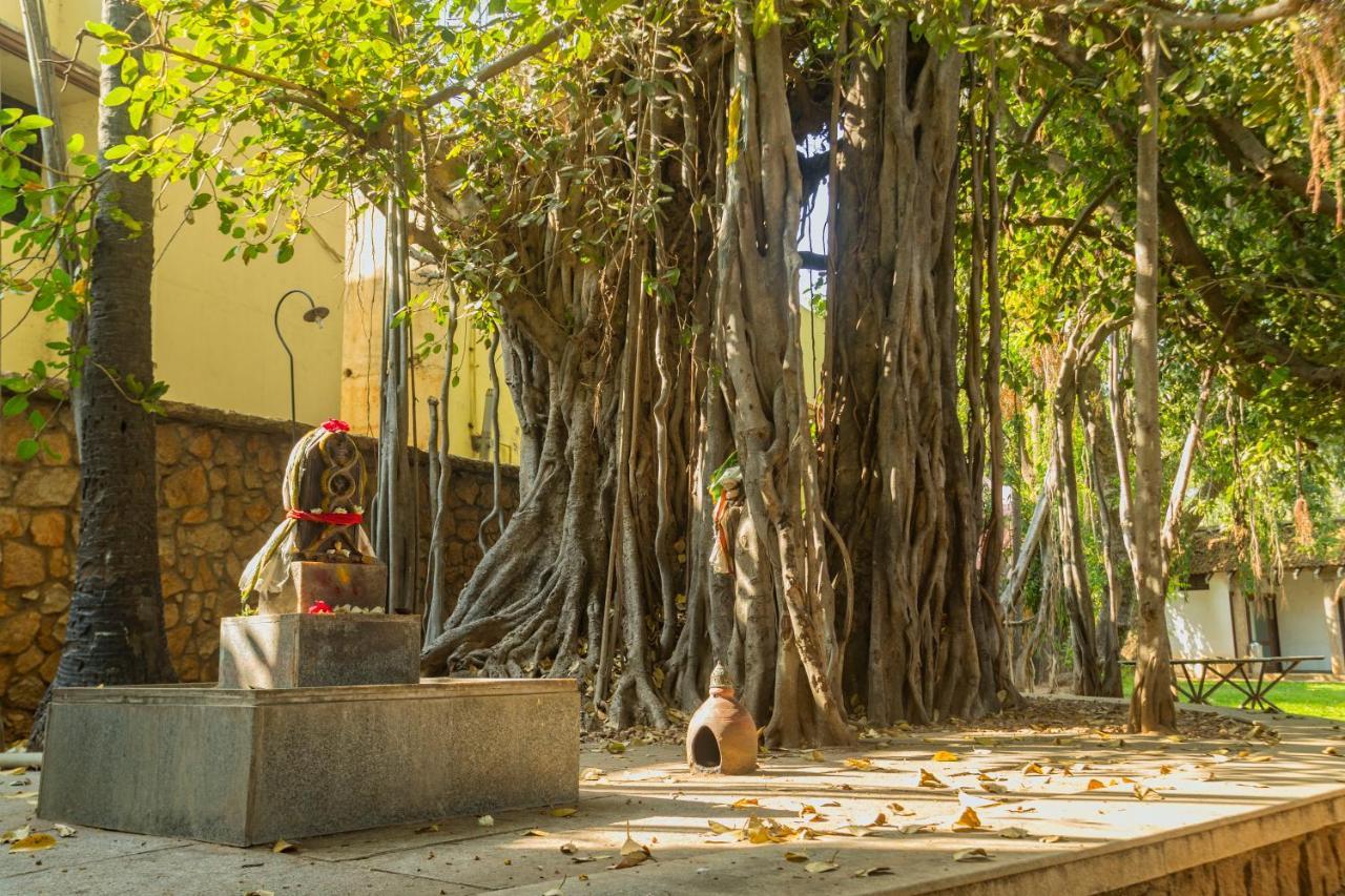 Heritage Madurai Eksteriør bilde The Banyan Tree at the University of Madras